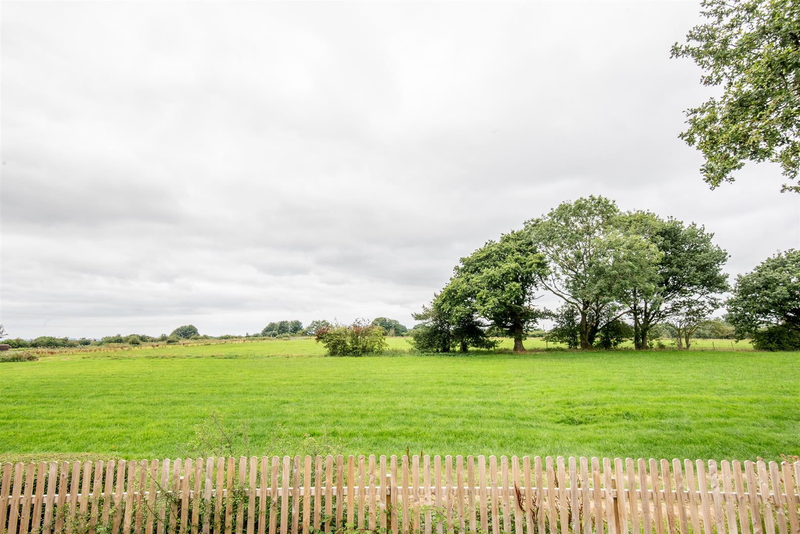 Limes Avenue, Chorley